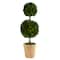 2.5ft. Boxwood Double Ball Topiary Tree in Cream Planter